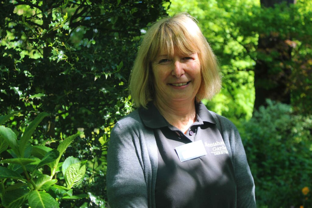 Carmella - Visitors Centre